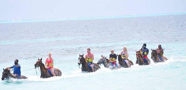 Chukka Caribbean Adventures-Good Hope Estate by Horse & Carriage