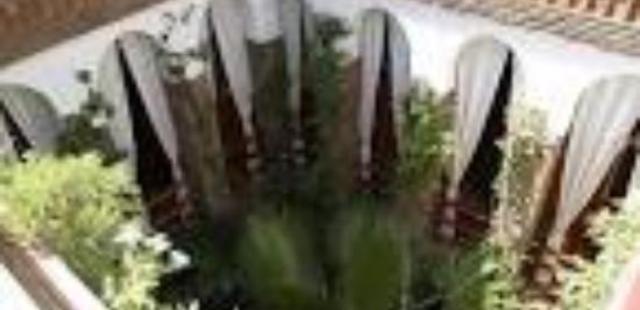 Riad d'Or