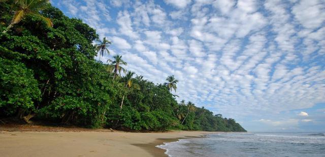 Playa Cocles