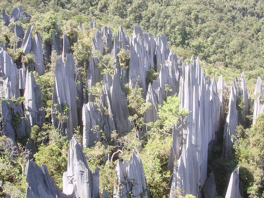 Mulu River Lodge