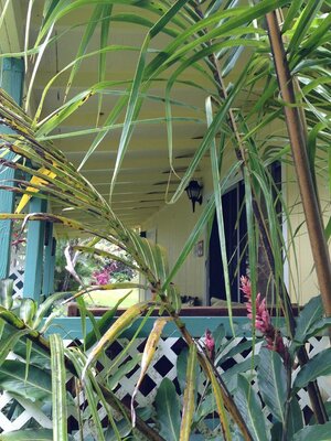 Coconut Cottage Bed & Breakfast