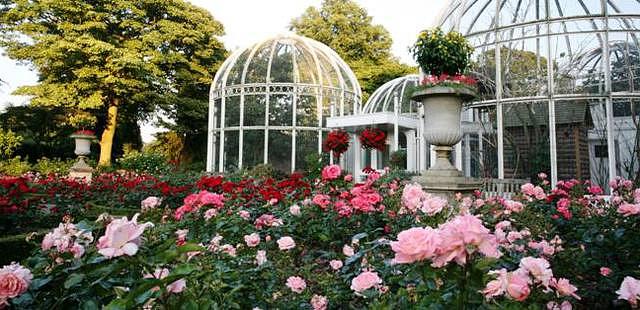 Birmingham Botanical Gardens and Glasshouses