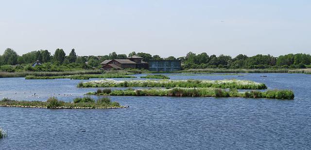 WWT London Wetland Centre