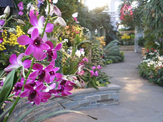 Lewis Ginter Botanical Garden