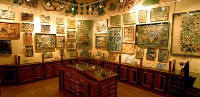 La Maison des Papillons