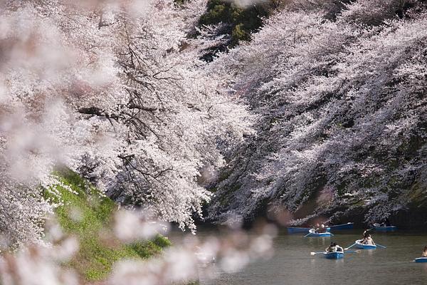 Ueno Park