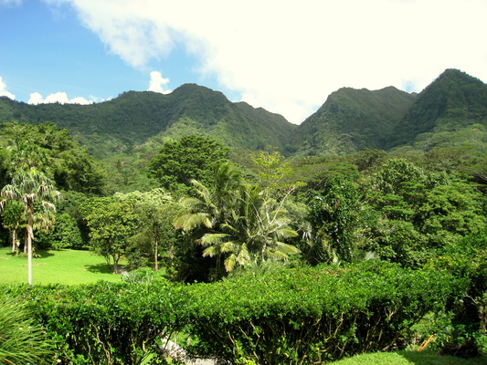 Lyon Arboretum