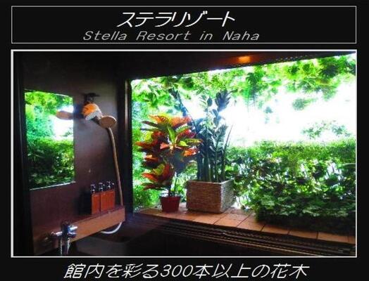 Stella Resort