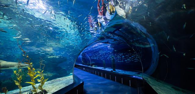 SEA LIFE Busan Aquarium