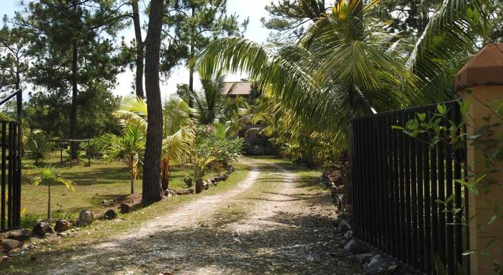 Beck's Bed and Breakfast