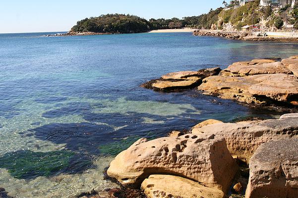 Manly Beach