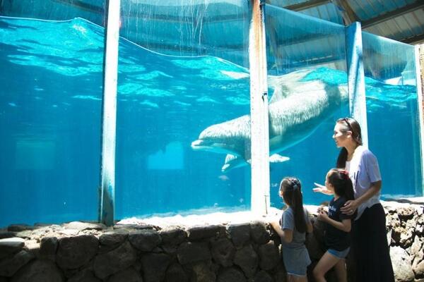 Sea Life Park Hawaii