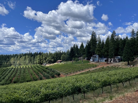 Lava Cap Winery