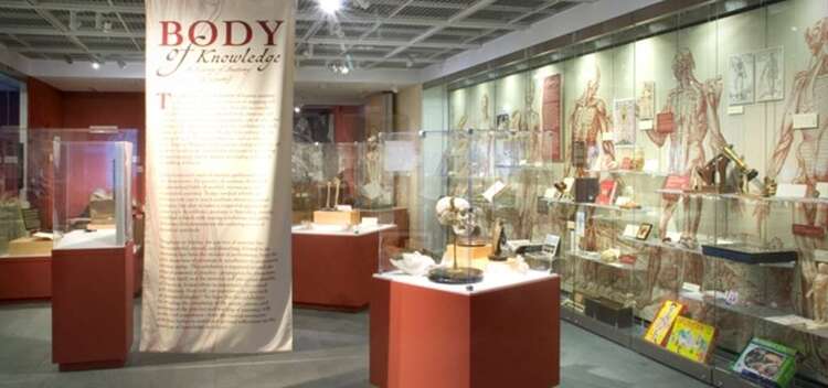 Warren Anatomical Museum