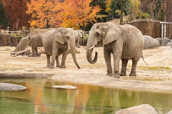 Cleveland Metroparks Zoo