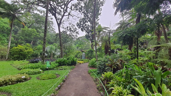 Jardin Botanico La Laguna