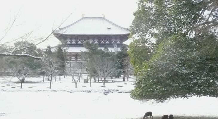 Petit Hotel Nara Club