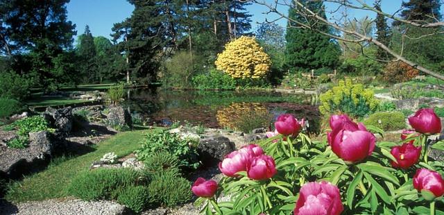 University of Oxford Botanic Garden