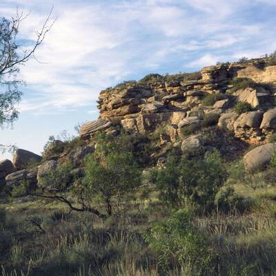 Wildcat Bluff Nature Center