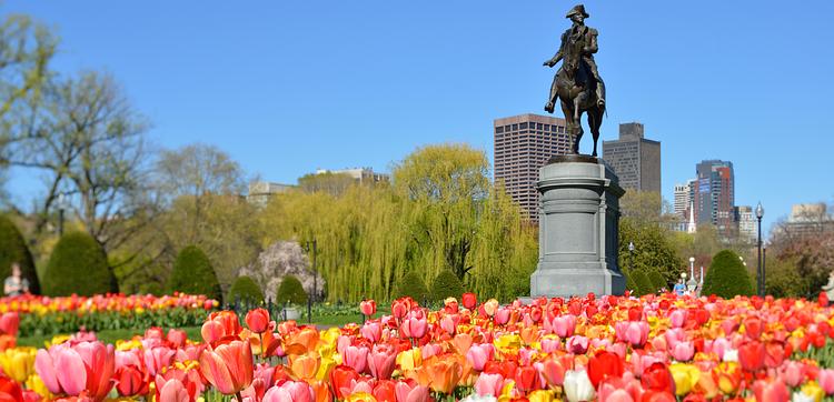 Boston Public Garden