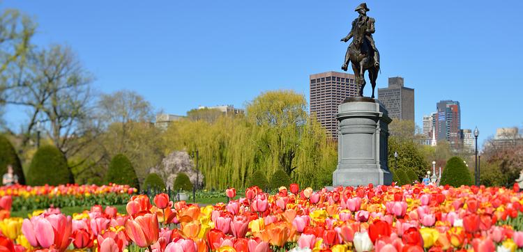 Boston Public Garden