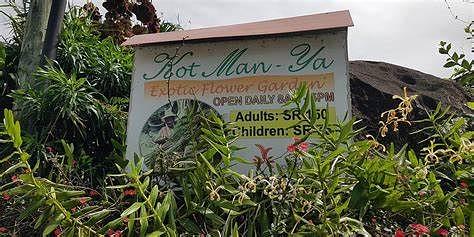 Kot Man-Ya Exotic Flower Garden