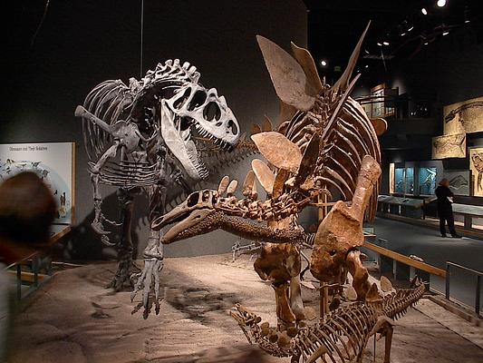 Denver Museum of Nature & Science