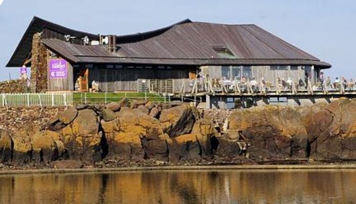 Scottish Seabird Centre