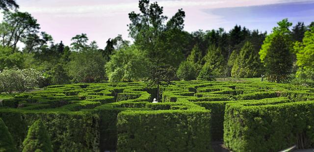 VanDusen Botanical Garden