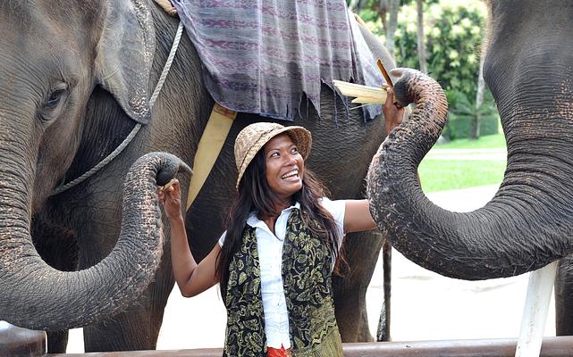 Chiang Mai Zoo