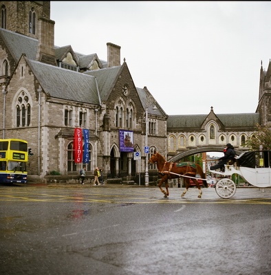 Dublinia