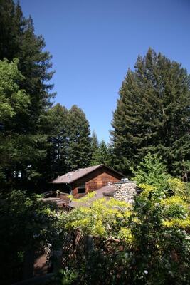 Redwood Croft