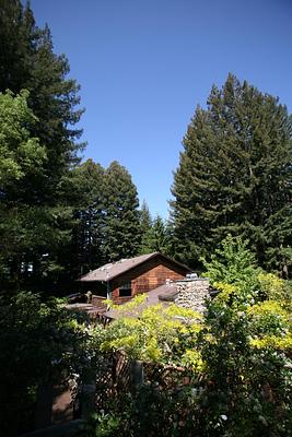 Redwood Croft