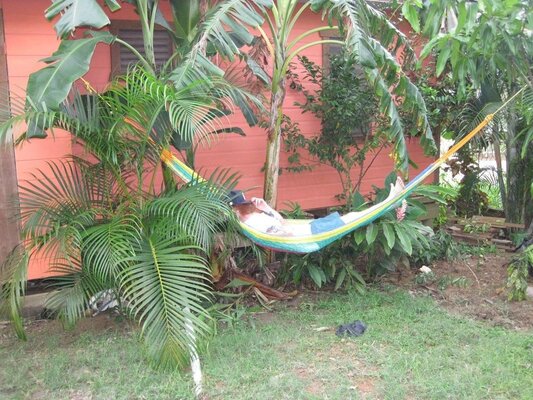 Roatan Backpackers' Hostel
