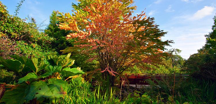 Royal Botanic Garden Edinburgh