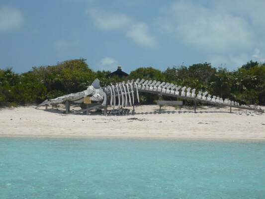 Exuma Cays Land and Sea Park