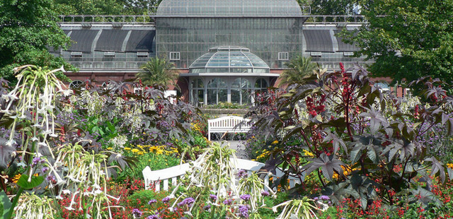 Palmengarten