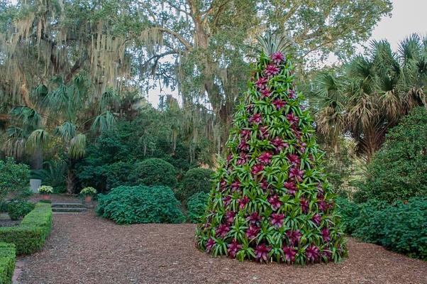 Bok Tower Gardens