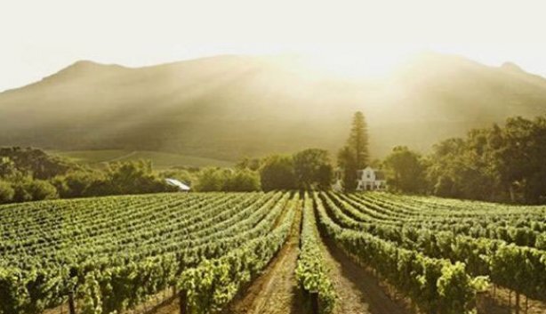 Constantia Uitsig Wine Estate