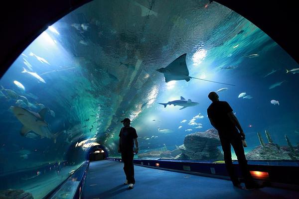 Oceanografic Valencia