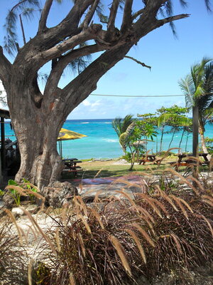 Surfer's Bay Bar & Restaurant