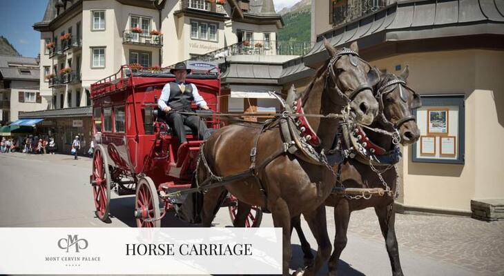 Mont Cervin Palace