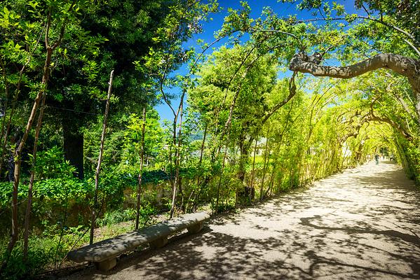 Giardino di Boboli