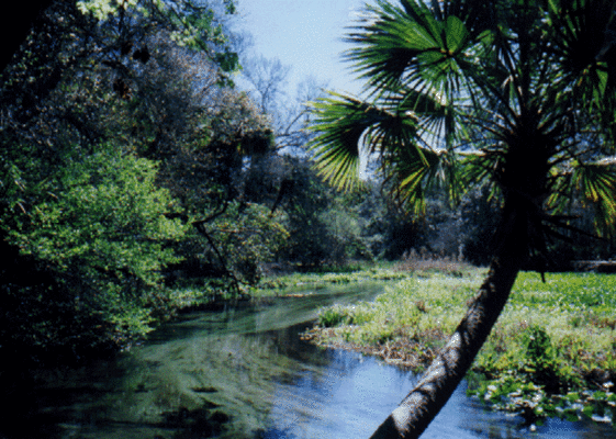 Wekiwa Springs State Park