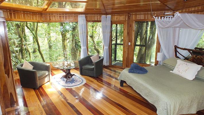 Hidden Canopy Treehouses Boutique Hotel