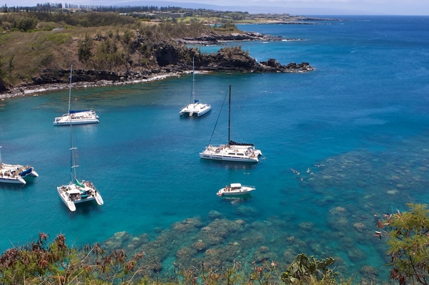 Honolua Bay
