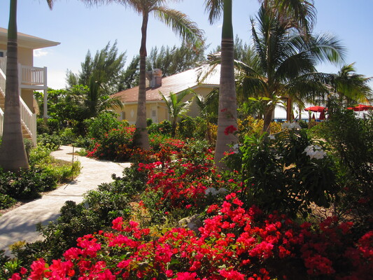 White Sands Beach Resort