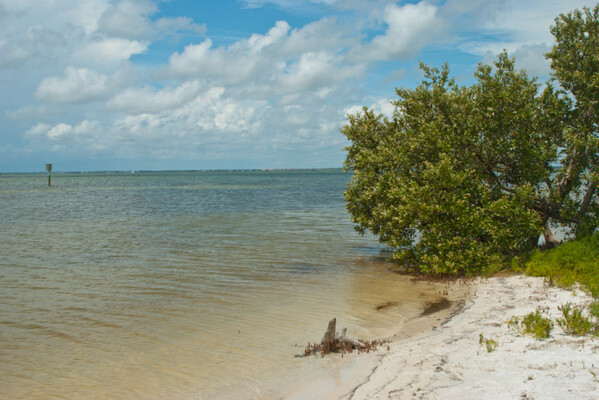 Honeymoon Island State Park
