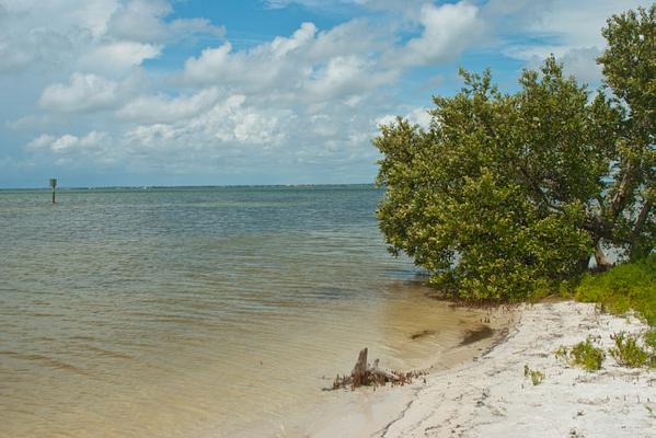 Honeymoon Island State Park