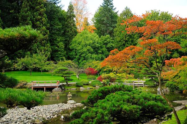 Seattle Japanese Garden